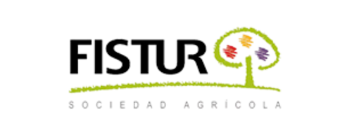 logo fistur